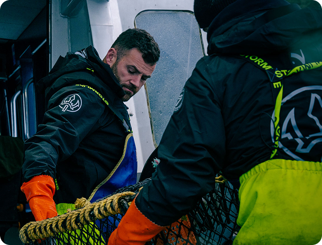 Combining generations of knowledge with professional leadership