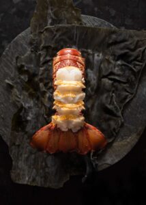 Southern Rock Lobster