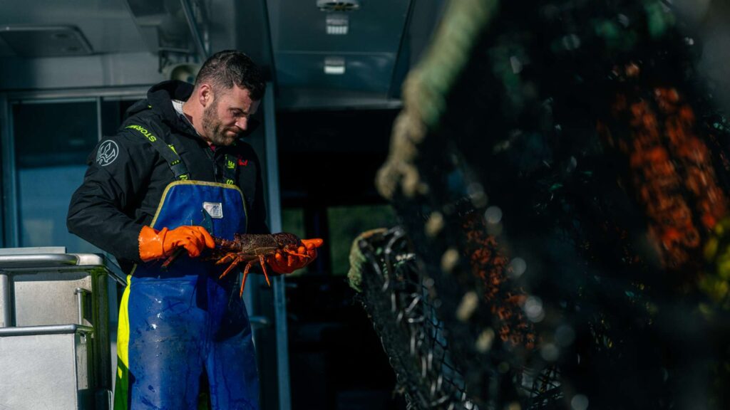 Delivering the incredible<br />
requires overcoming the impossible